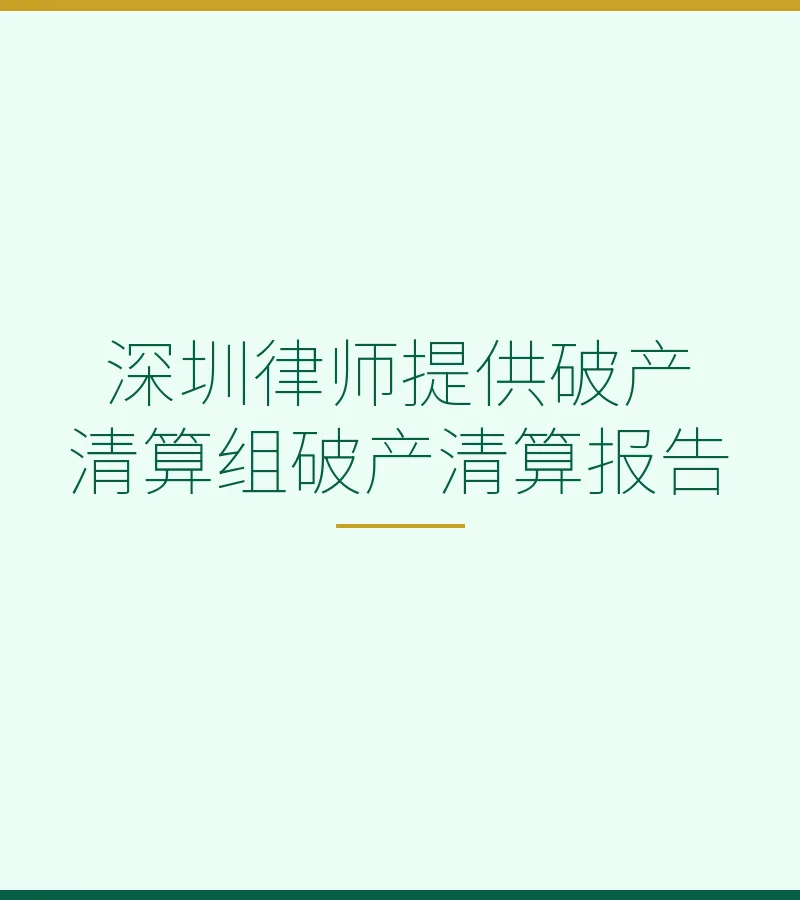 深圳律师提供破产清算组破产清算报告