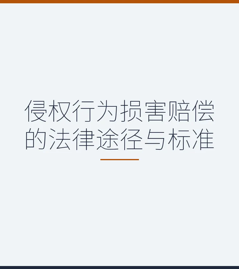 侵权行为损害赔偿的法律途径与标准