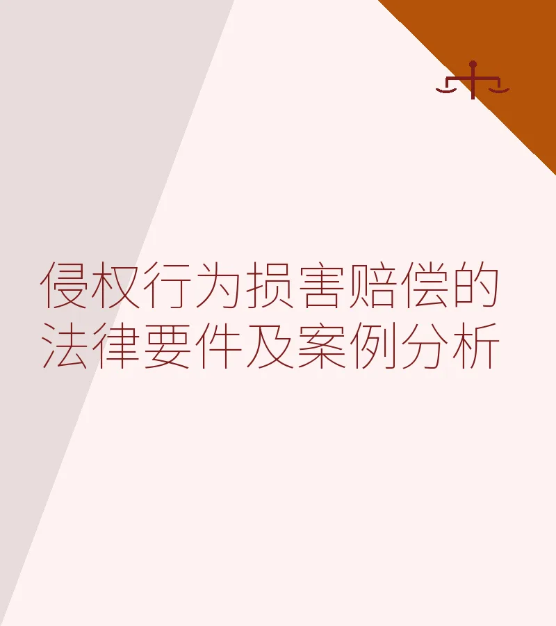 侵权行为损害赔偿的法律要件及案例分析