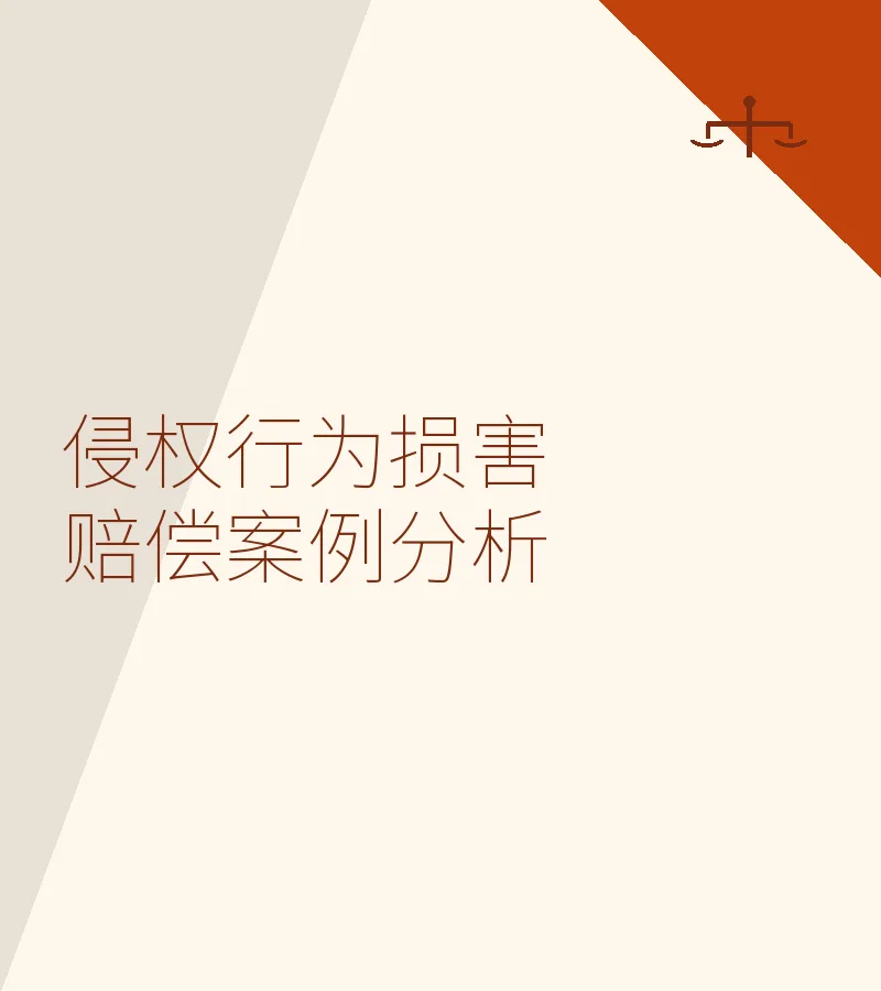侵权行为损害赔偿案例分析