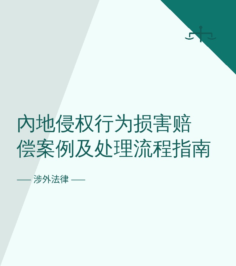 内地侵权行为损害赔偿案例及处理流程指南