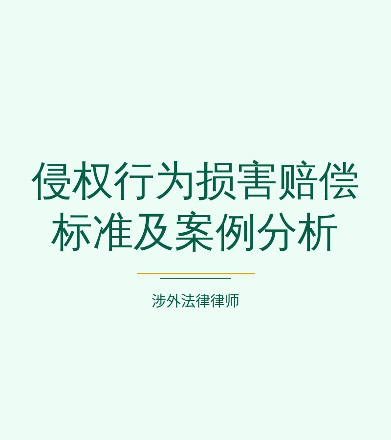 侵权行为损害赔偿标准及案例分析